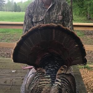 Meet your Posher, Branton